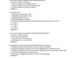 Soal IPS Kelas 8 SMP Kurikulum Merdeka 2026 dengan Kunci Jawaban Ulangan Harian