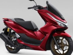 Perbandingan Honda PCX 160 vs ADV 160 2026 Warna Cokelat Tipe RoadSync
