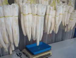 15 Oleh-Oleh Khas Bandung Paling Disukai yang Harus Dibeli