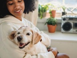 Apakah Anjing Bisa Membaca Perasaanmu? Ini Penjelasannya!