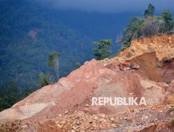 Transformasi Tata Kelola Alam Dibutuhkan untuk Hadapi Krisis Ekologi