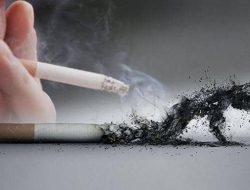 7 penyebab kanker ginjal yang perlu diketahui Vidi Aldiano