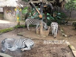 Museum sebagai Ruang Edukasi dan Pusat Budaya Aktif