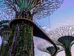 10 destinasi wisata Singapura murah dan menarik yang harus dikunjungi