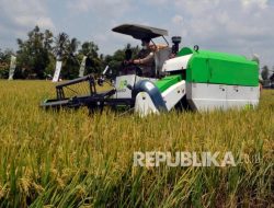 Ekonomi Lampung Tumbuh 5,38 Persen Berkat Sektor Pertanian