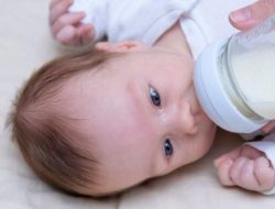 Perbedaan Sukrosa dan Fruktosa dalam Susu Formula yang Perlu Diketahui Ibu