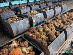 Menghitung Keuntungan Komoditas: Cukupkah Menahan Defisit APBN 2026?