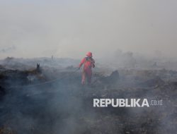 Tanpa Kamera, Mereka Berjuang Menyelamatkan Nyawa di Natuna