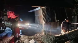 Damkar Sijunjung Tangani 74 Kasus, Mayoritas Bukan Kebakaran